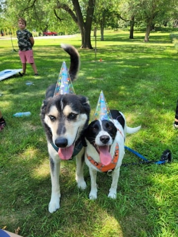 Oakwood Lakes Birthday Bash