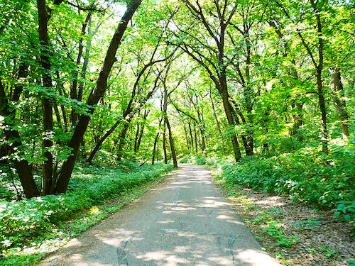 5f73e0ea-f307-4d6e-be55-008493fc8910