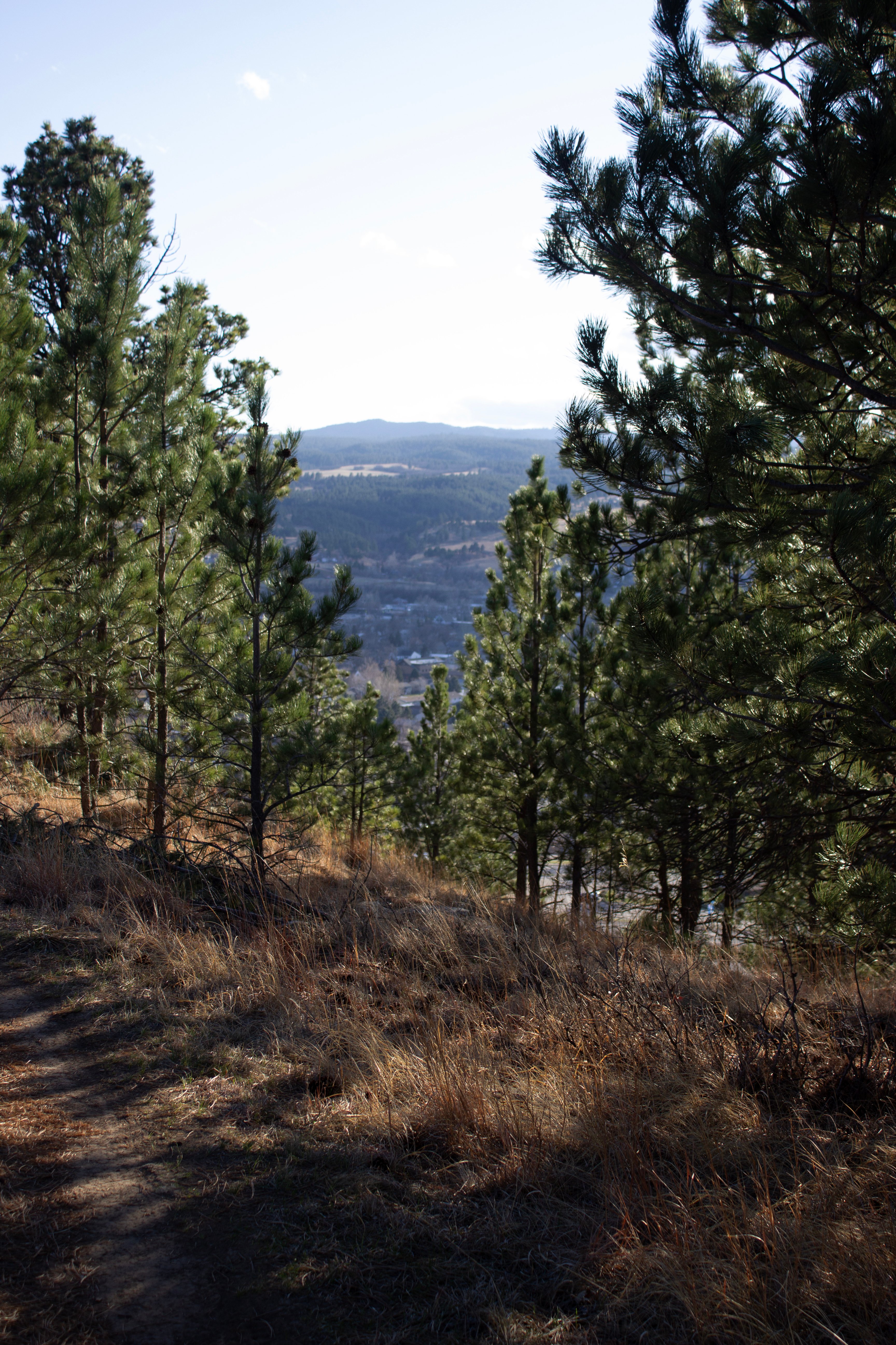 Afternoon Hike in the Black Hills