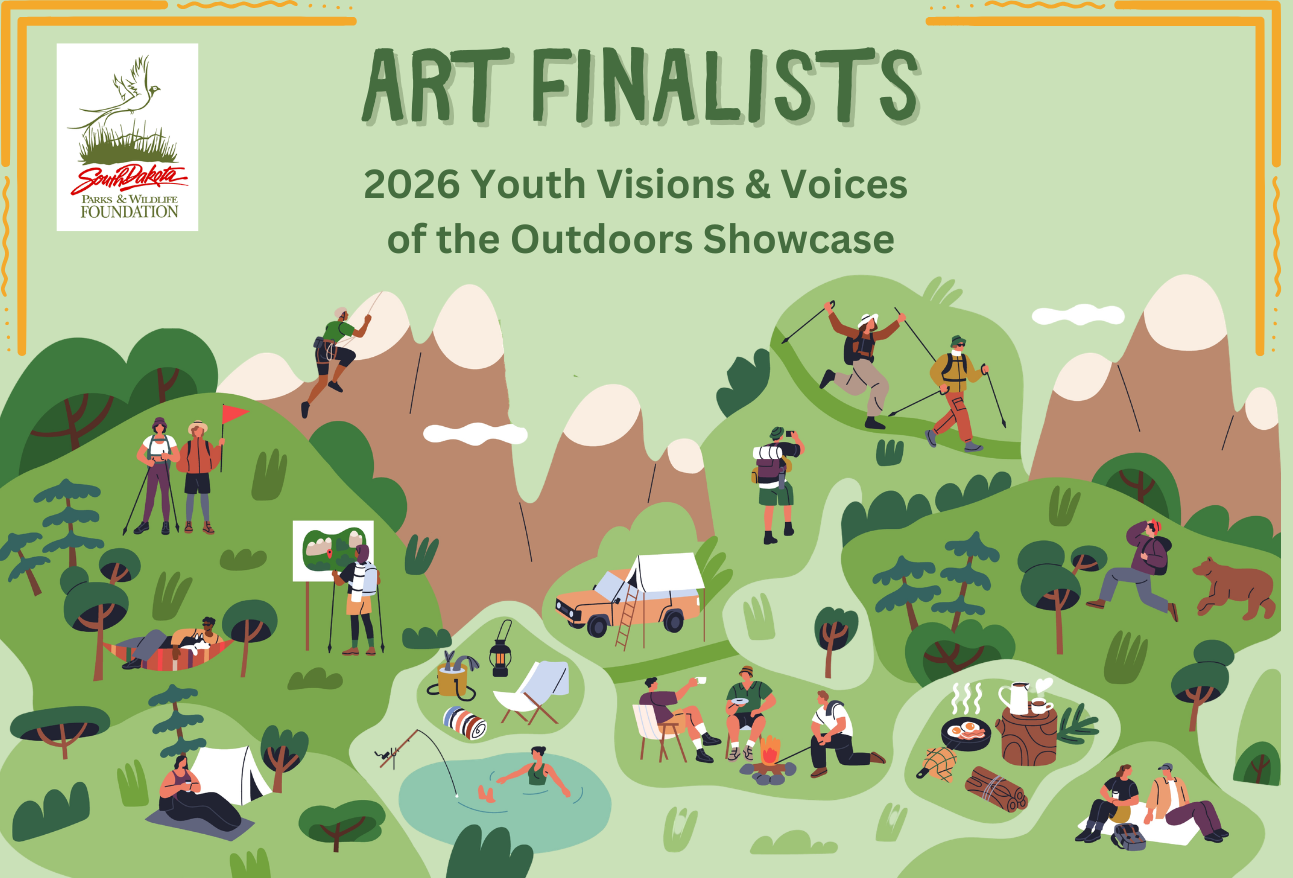 Youth Visions & Voices 2026 (Presentation) (1293 x 878 px)